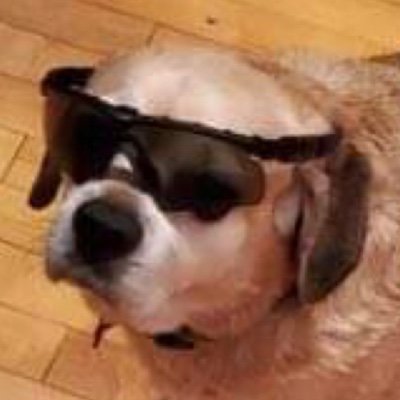 Seamus (FreedomToons)'s profile picture