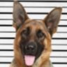 Profilbild von Bill M