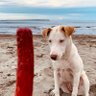 iamMe profil fotoğrafı