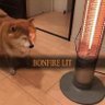 NeoThefifth's profile picture