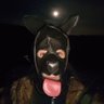 Profilbild von Mr sparkles