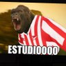 ESTUDIOONTES's profile picture