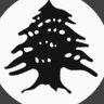 Maroun rahme profil fotoğrafı