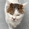 ç«ããã's profile picture