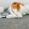 kittyteyze's profile picture