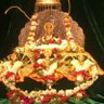 Anil Gupta's profile picture