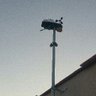 Profilbild von Meteoboig