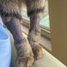 Фото профиля Loren Ipsum ❤️☀️🐈🌿🥓