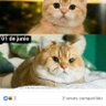 Angelica profil fotoğrafı