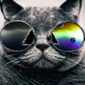 Crispybits || Parroty account's profile picture