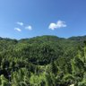 汪洋中的一条船 的头像