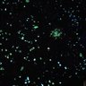 Фото профиля smcr