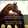 Profilbild von kuwaitya73