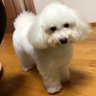 Profilbild von 斎藤 憲一郎