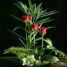 Rameshprabu's profile picture