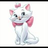 Profilbild von كبرياء أنثى
