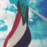 NAGI ABDALLA's profile picture
