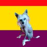 Profilbild von AsรญNosVa