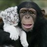 αиιмαℓ ℓσνєя profil fotoğrafı