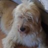 Profilbild von Oscar Bey