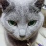 Profilbild von miu