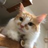 Фото профиля あふぁ〜とがちゅんとまくぶのしもべ☆杉
