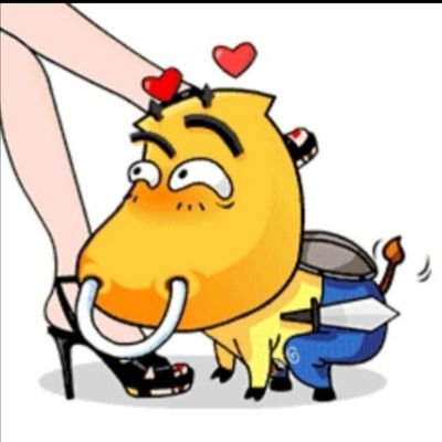 qHA5Y95Dv8PFIQZ's profile picture