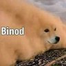 Binod Official 的头像