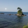 小杉太郎 的头像