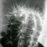 Saboten-Sarada(🕷️) profil fotoğrafı