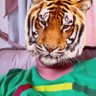 Profilbild von shazam