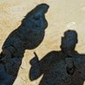 Profilbild von 3 Daughters - 4 Guns