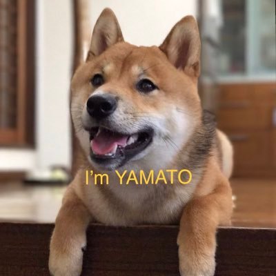 Shibain65280555's profile picture