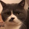 Lucia's profile picture