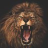 Roaring Thriving Lion profil fotoğrafı