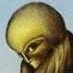 tagomago's profile picture