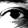 The Calondon Project's profile picture