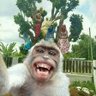 FunnySunny profil fotoğrafı
