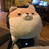 Samuriji's profile picture
