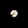 subaknya morkley's profile picture
