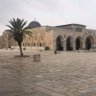 Фото профиля محمد سيف الاسلام