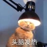 Profilbild von elvischeung
