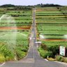 ケイティ喜界島! profil fotoğrafı
