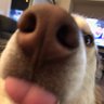 Profilbild von 🛌🏽