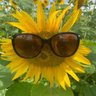 Lainey Lynch's profile picture