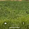 حسن profil fotoğrafı