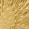 Фото профиля Tapestry Commun