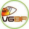 VideoGames Brasil 的头像