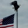 🇺🇸 On the North Coast 🇺🇸's profile picture