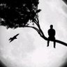 Nyabinghi profil fotoğrafı